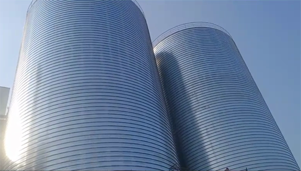 碧江2座混凝土高架卷板仓